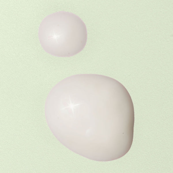 Bakuchiol Serum - Natural Retinol Alternative + Sea Fennel - Valentia Skincare