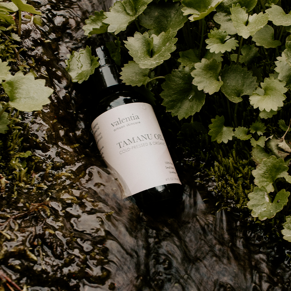 Tamanu Oil - 100% Cold Pressed Organic - Valentia Skincare